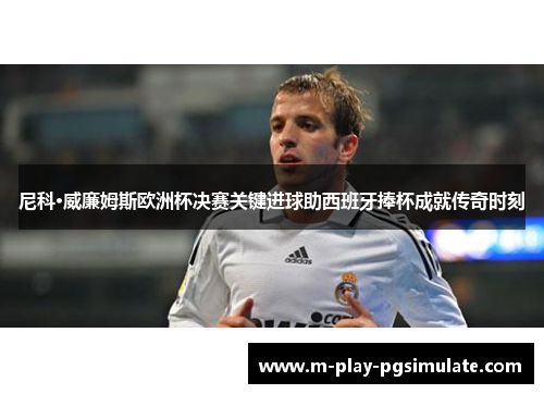 尼科·威廉姆斯欧洲杯决赛关键进球助西班牙捧杯成就传奇时刻